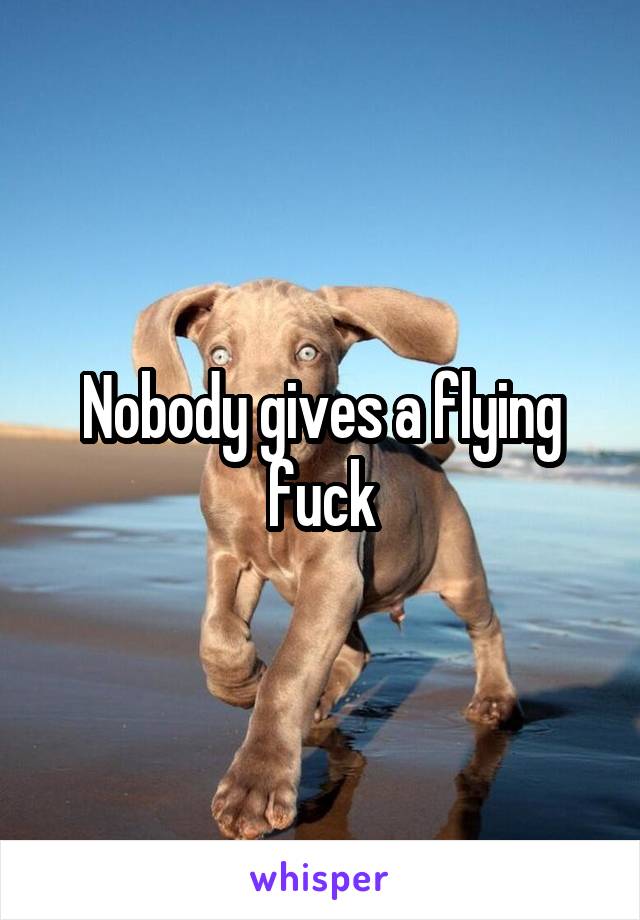 Nobody gives a flying fuck