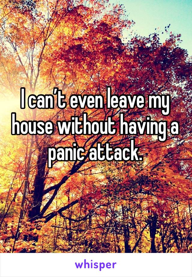 I can’t even leave my house without having a panic attack.