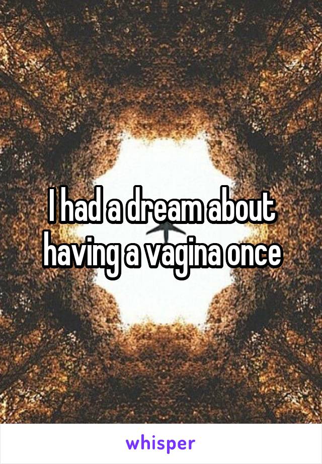 I had a dream about having a vagina once
