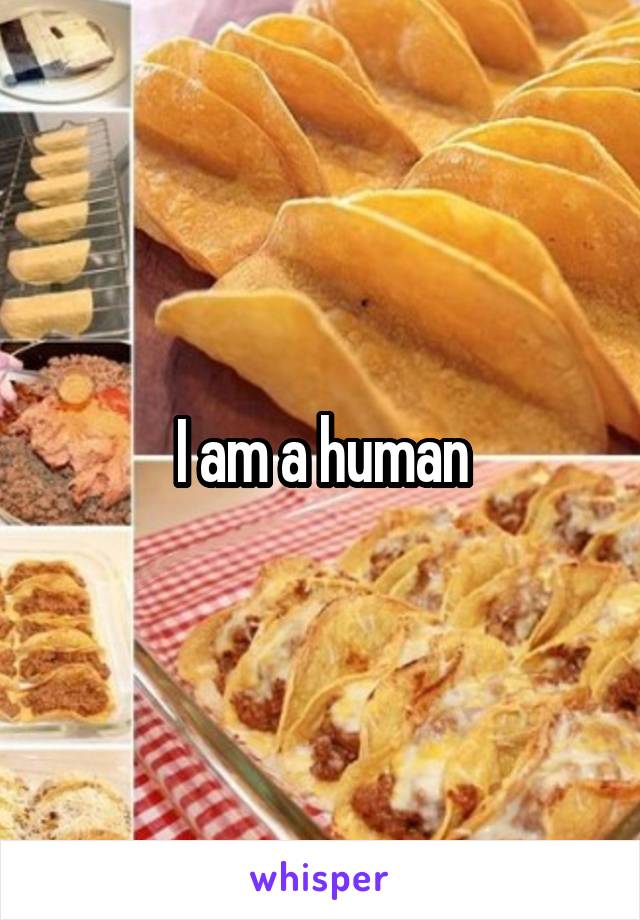 I am a human