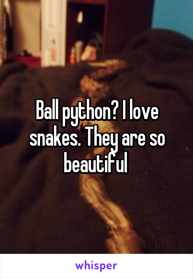 Ball python? I love snakes. They are so beautiful 