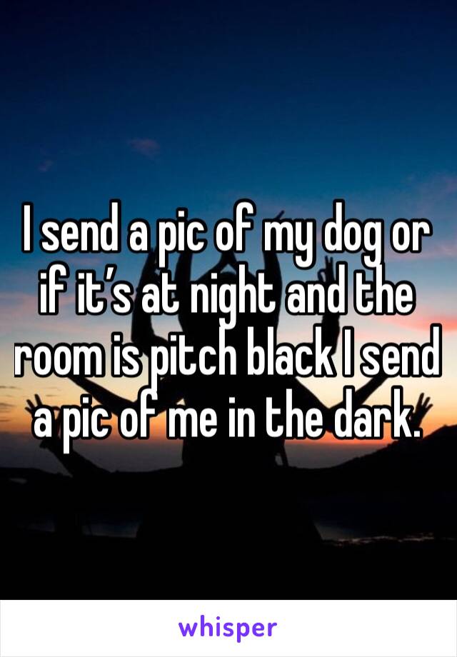 I send a pic of my dog or if it’s at night and the room is pitch black I send a pic of me in the dark.