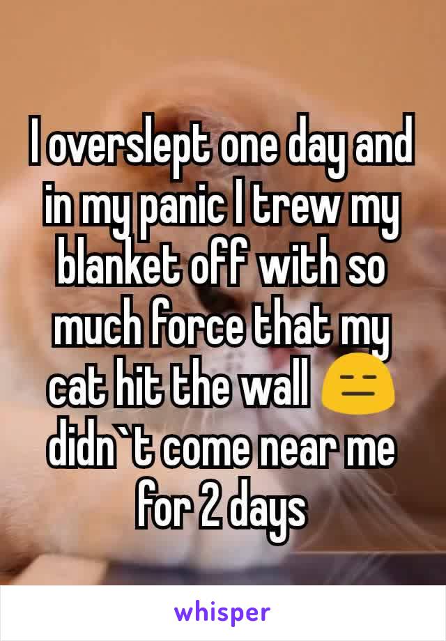 I overslept one day and in my panic I trew my blanket off with so much force that my cat hit the wall 😑 didn`t come near me for 2 days