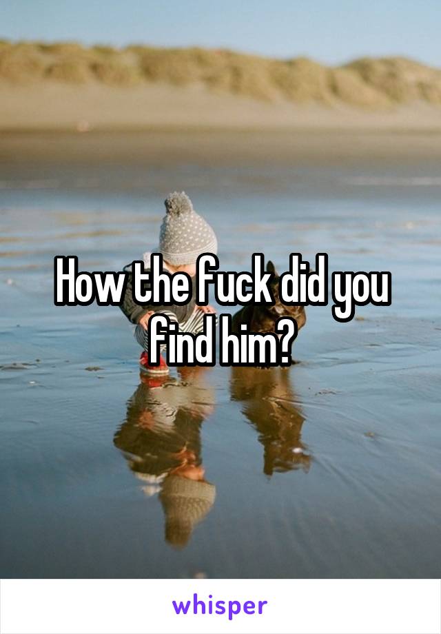 How the fuck did you find him?
