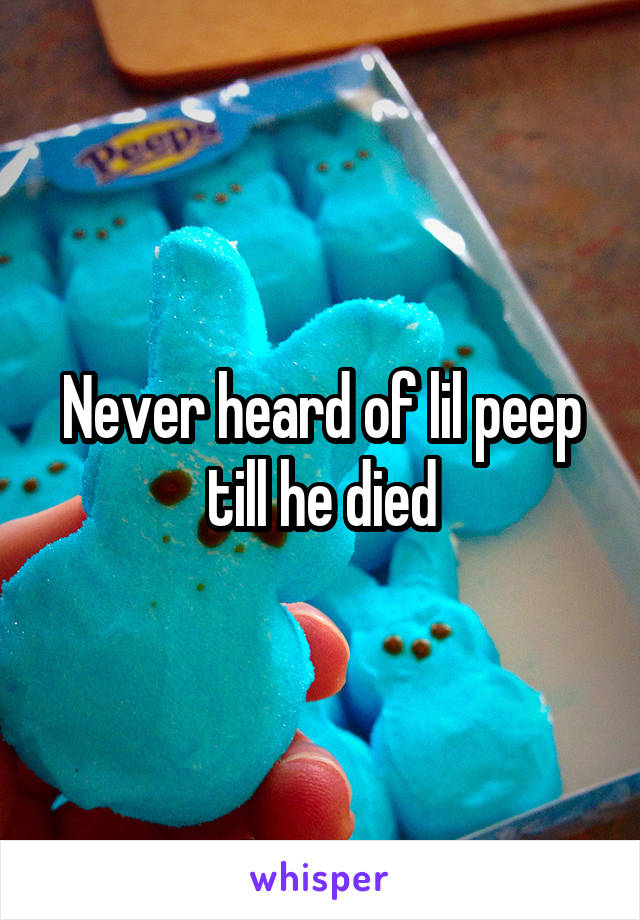 Never heard of lil peep till he died