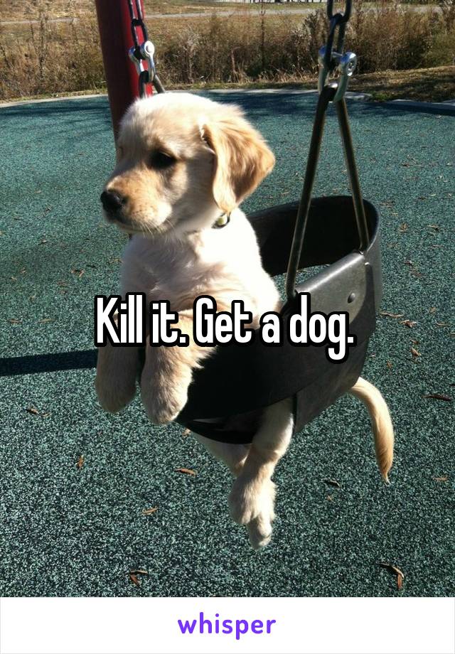 Kill it. Get a dog. 