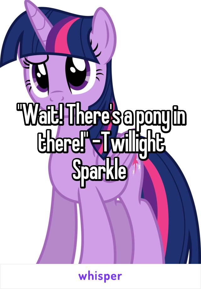 "Wait! There's a pony in there!" -Twillight Sparkle 