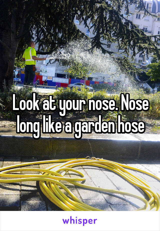 Look at your nose. Nose long like a garden hose