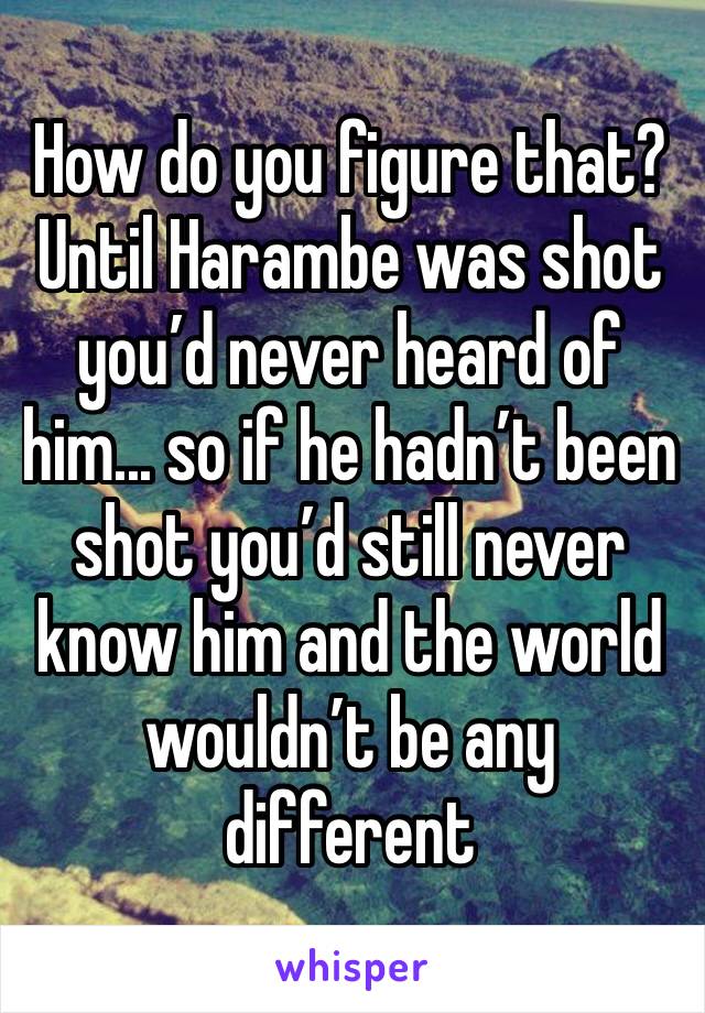 How do you figure that? Until Harambe was shot you’d never heard of him... so if he hadn’t been shot you’d still never know him and the world wouldn’t be any different