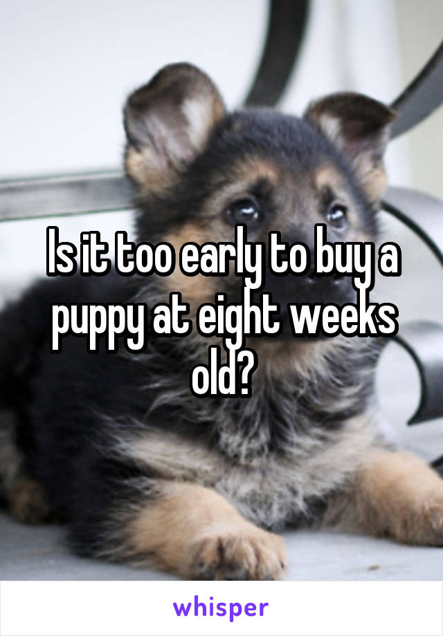 Is it too early to buy a puppy at eight weeks old?
