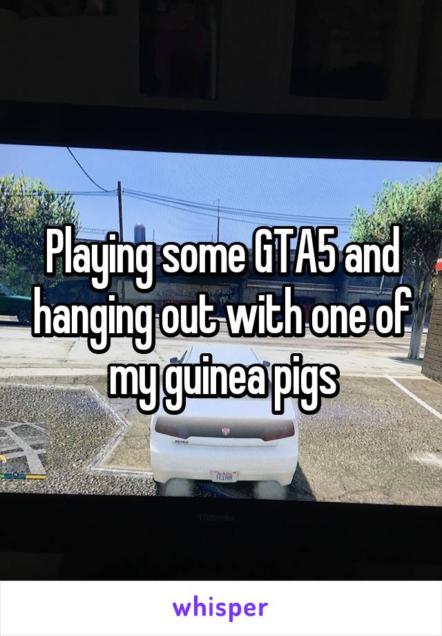 Playing some GTA5 and hanging out with one of my guinea pigs