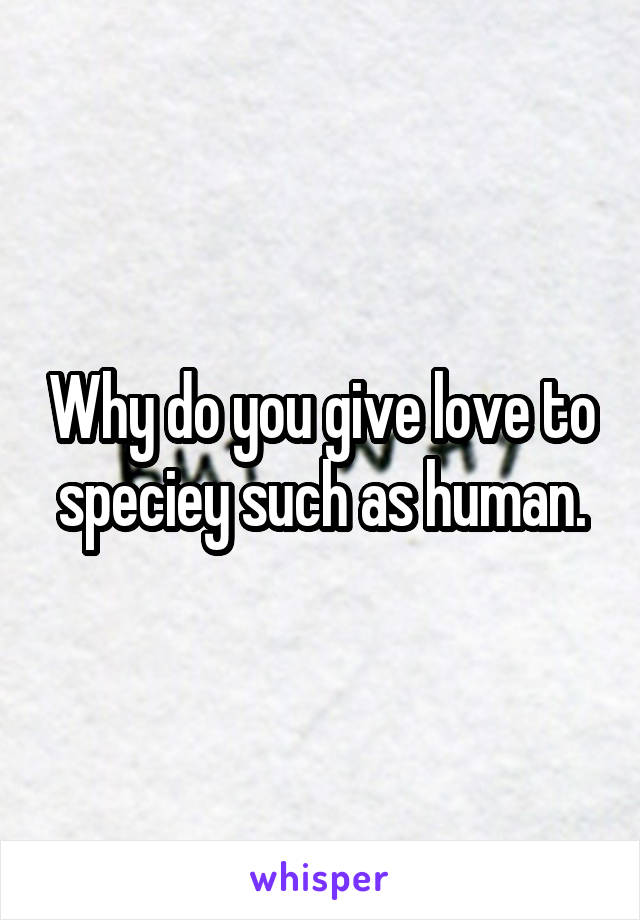 Why do you give love to speciey such as human.