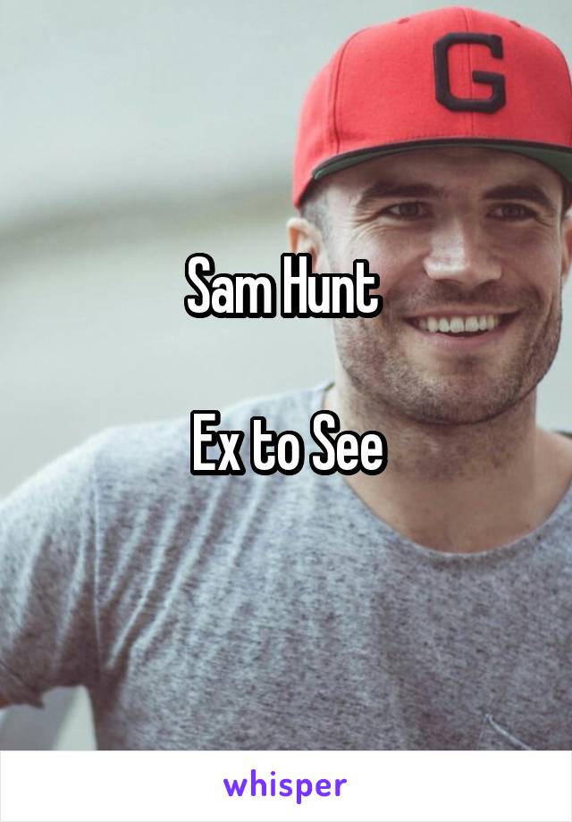 Sam Hunt 

Ex to See
