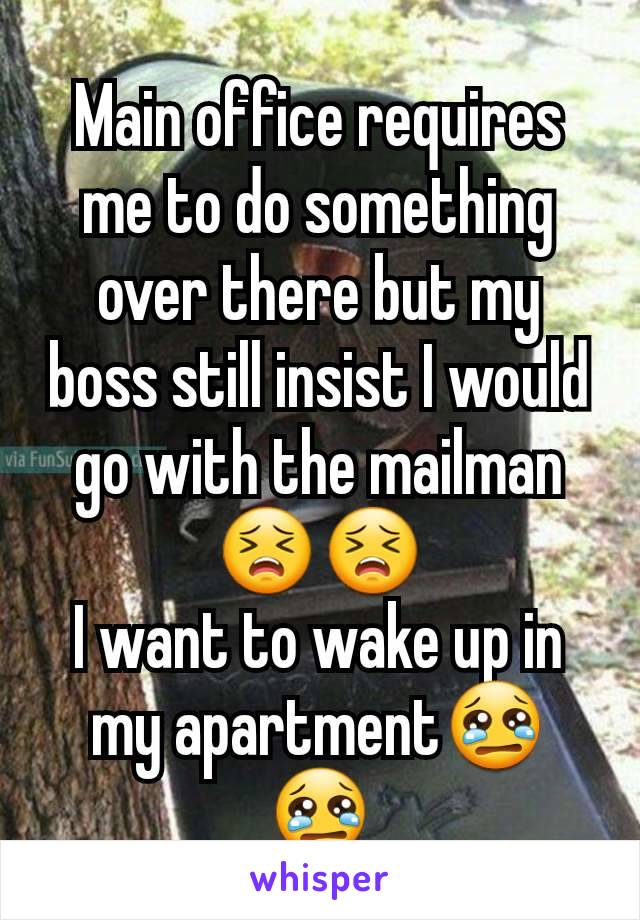 Main office requires me to do something over there but my boss still insist I would go with the mailman😣😣
I want to wake up in my apartment😢😢