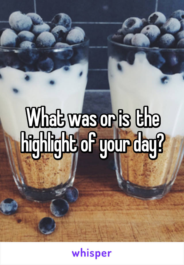 What was or is  the highlight of your day?