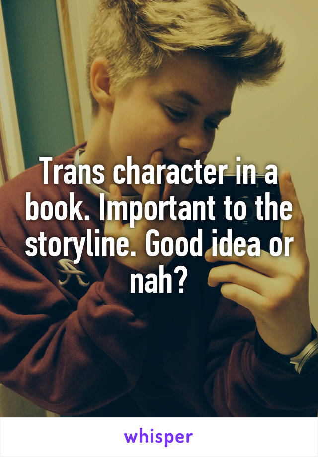 Trans character in a book. Important to the storyline. Good idea or nah?