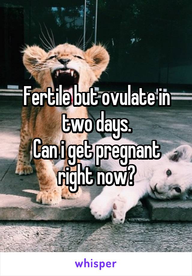 Fertile but ovulate in two days.
Can i get pregnant right now?