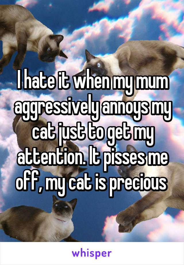 I hate it when my mum aggressively annoys my cat just to get my attention. It pisses me off, my cat is precious 