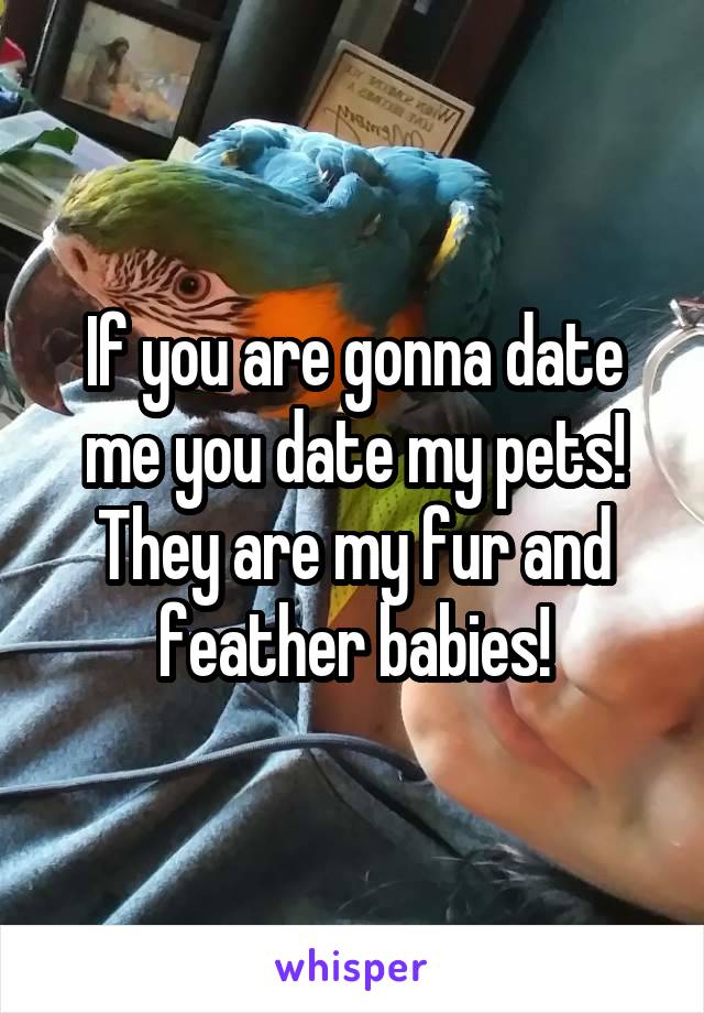 If you are gonna date me you date my pets! They are my fur and feather babies!