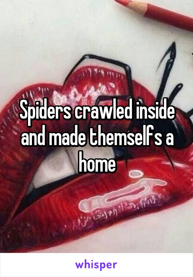 Spiders crawled inside and made themselfs a home