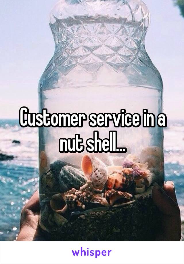 Customer service in a nut shell...