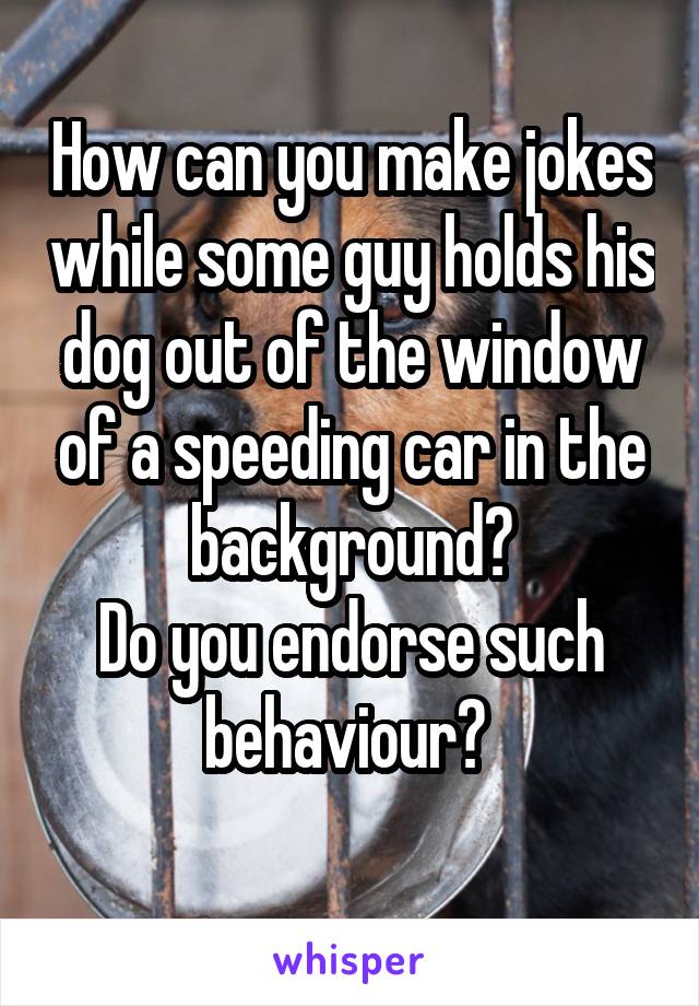 How can you make jokes while some guy holds his dog out of the window of a speeding car in the background?
Do you endorse such behaviour? 
