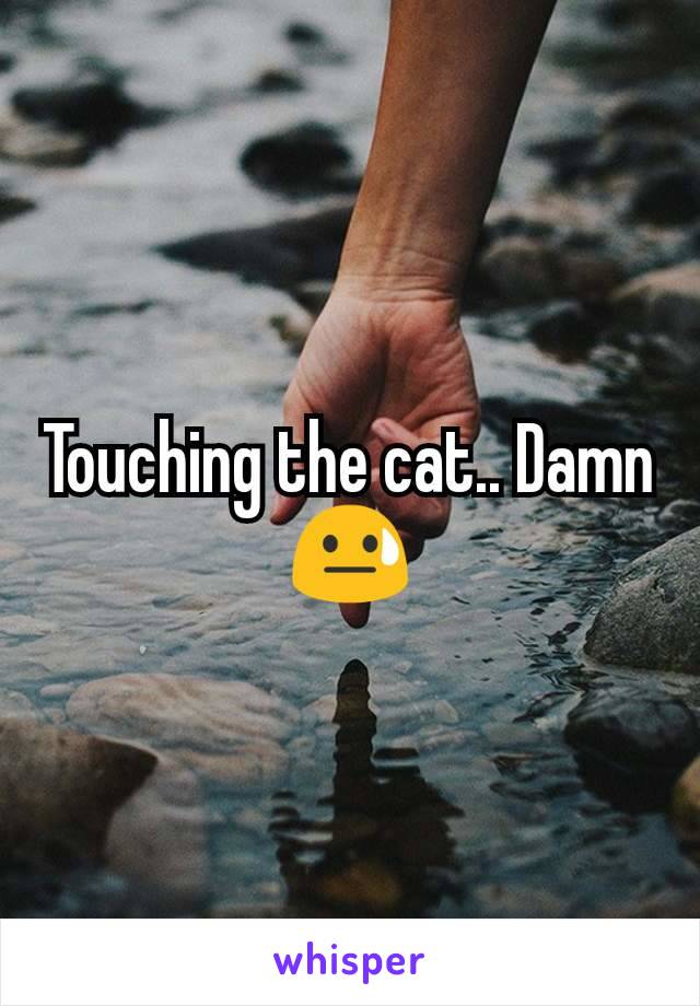 Touching the cat.. Damn 😓