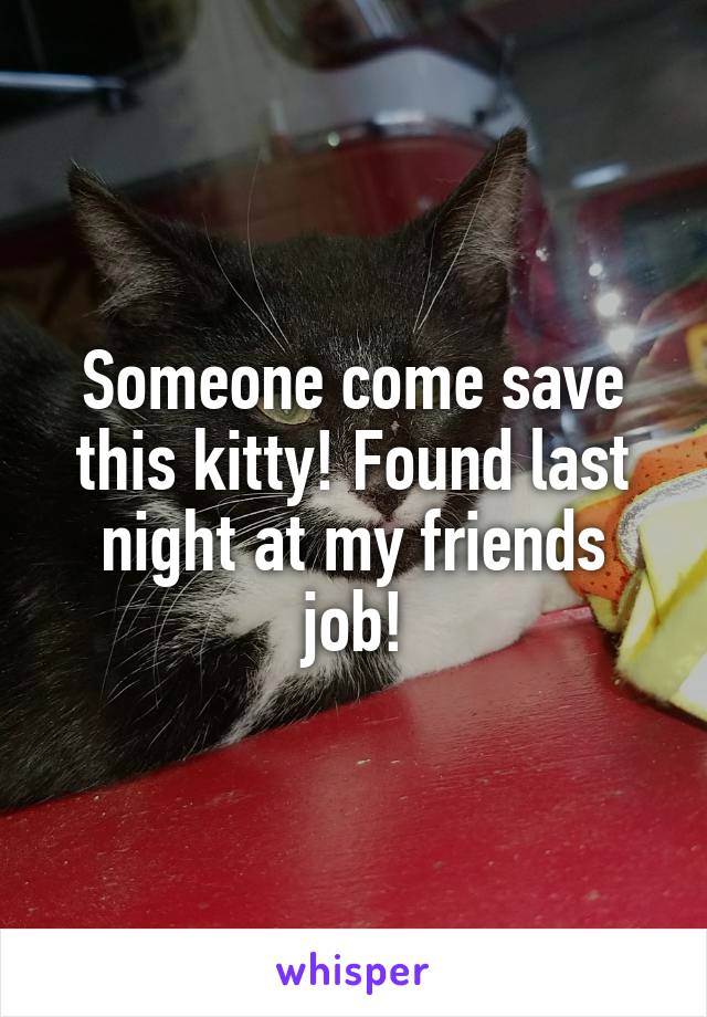 Someone come save this kitty! Found last night at my friends job!