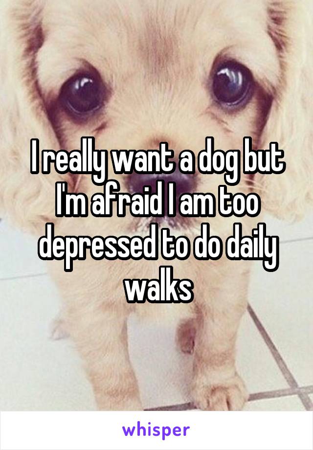 I really want a dog but I'm afraid I am too depressed to do daily walks