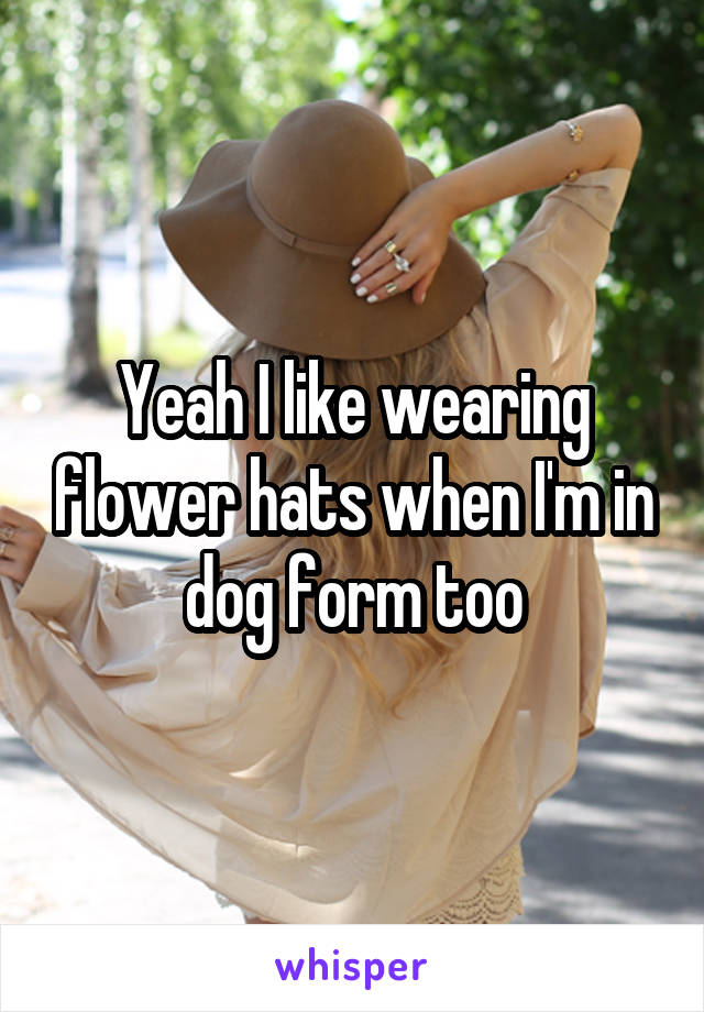 Yeah I like wearing flower hats when I'm in dog form too