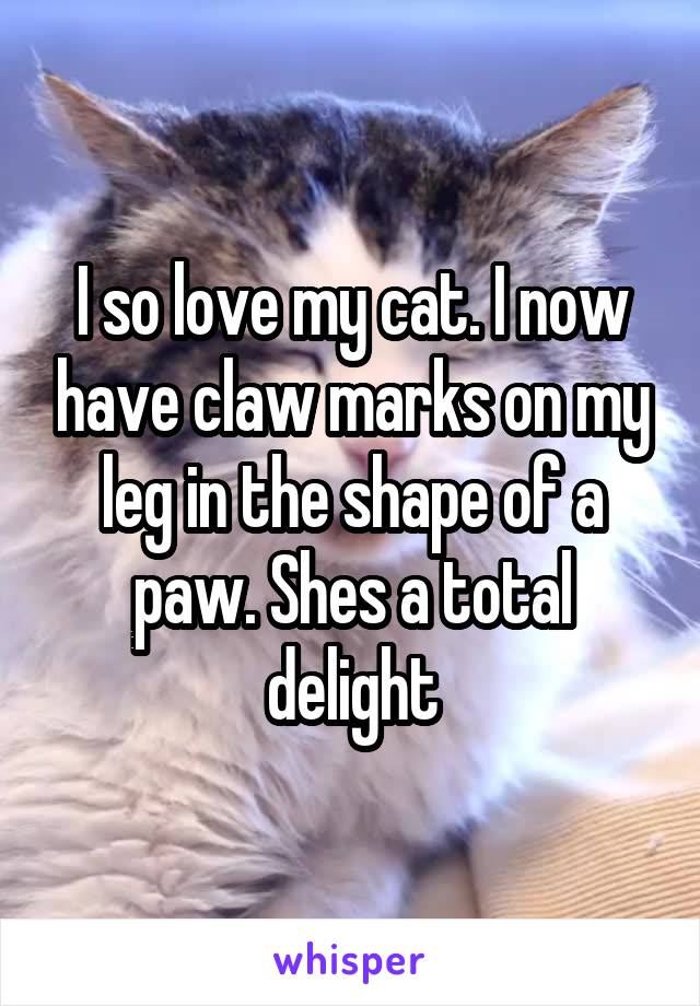 I so love my cat. I now have claw marks on my leg in the shape of a paw. Shes a total delight