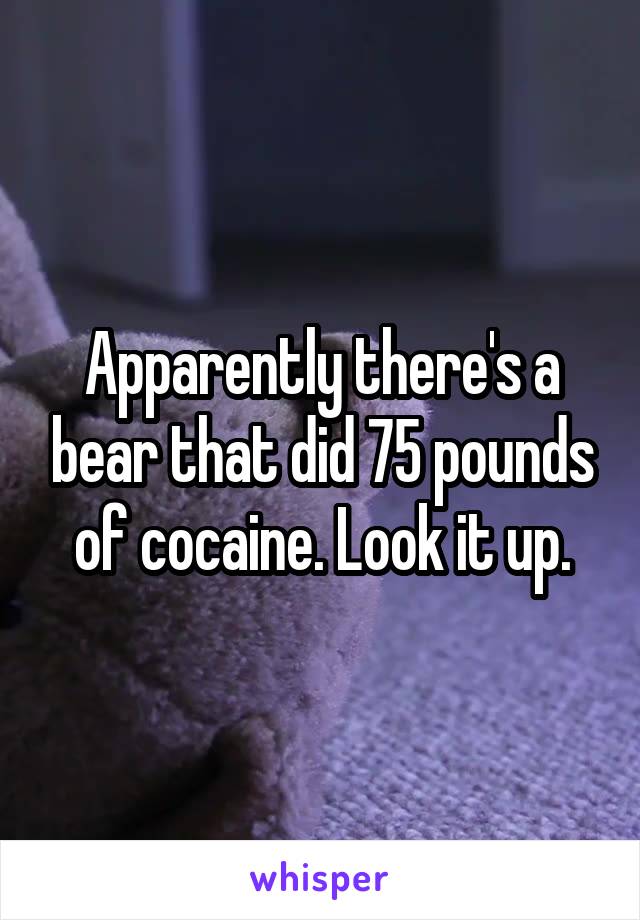Apparently there's a bear that did 75 pounds of cocaine. Look it up.