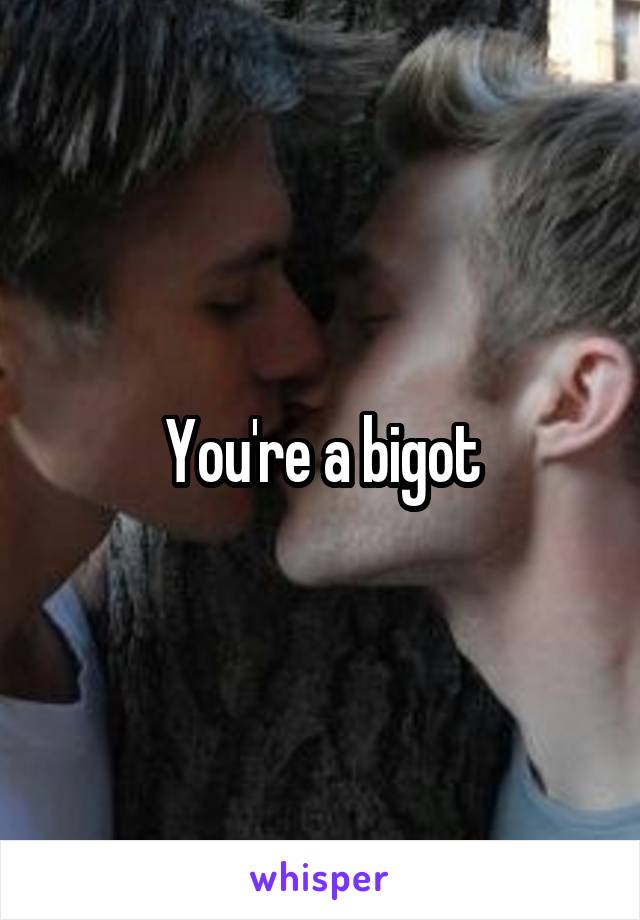 You're a bigot