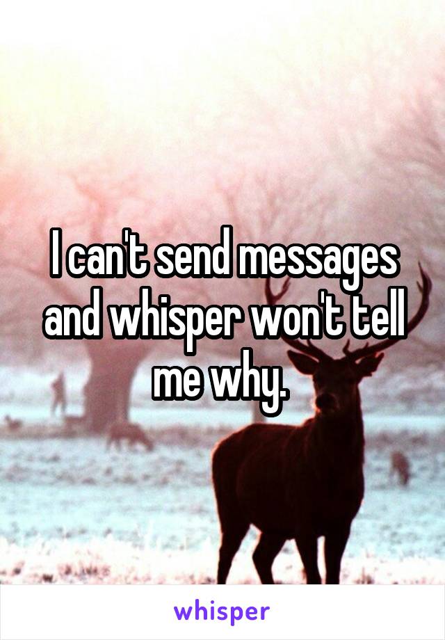 I can't send messages and whisper won't tell me why. 