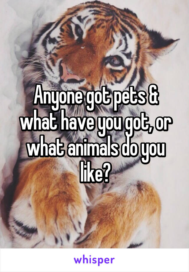 Anyone got pets & what have you got, or what animals do you like?