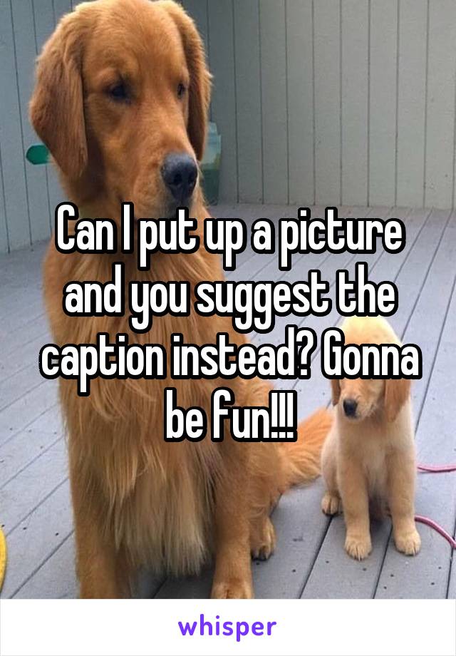 Can I put up a picture and you suggest the caption instead? Gonna be fun!!!