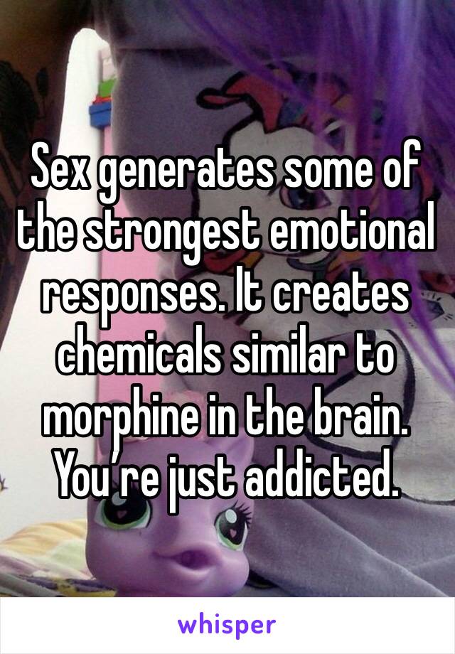 Sex generates some of the strongest emotional responses. It creates chemicals similar to morphine in the brain. You’re just addicted. 