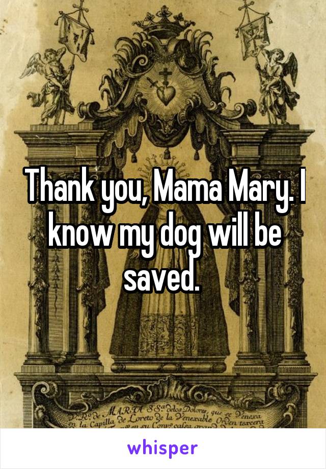 Thank you, Mama Mary. I know my dog will be saved. 
