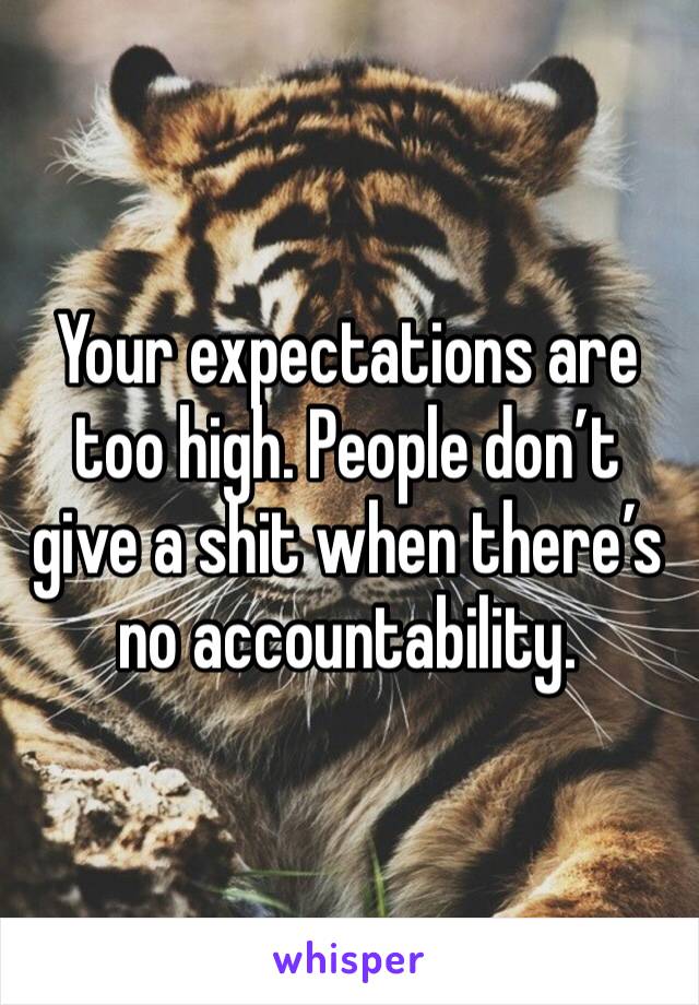 Your expectations are too high. People don’t give a shit when there’s no accountability.