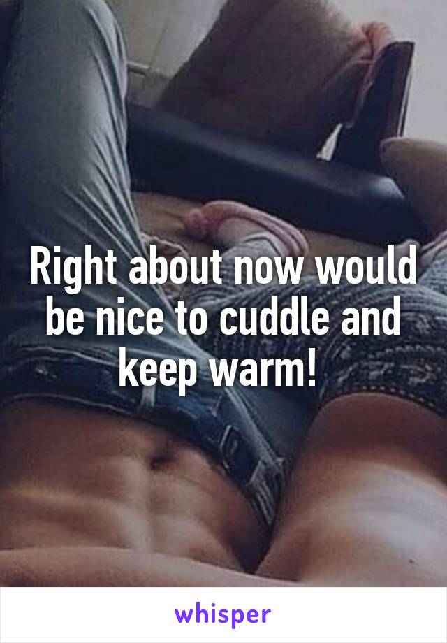 Right about now would be nice to cuddle and keep warm! 