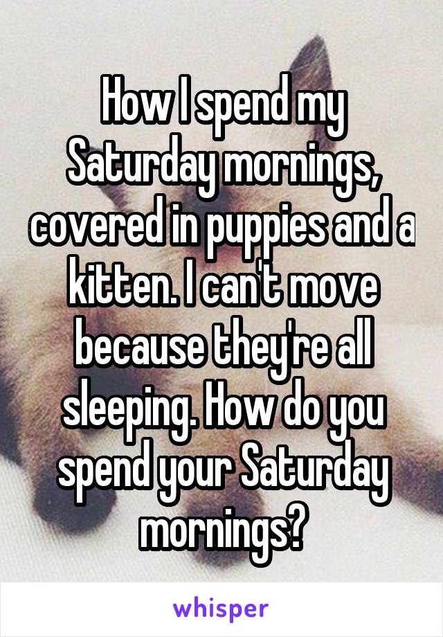 How I spend my Saturday mornings, covered in puppies and a kitten. I can't move because they're all sleeping. How do you spend your Saturday mornings?