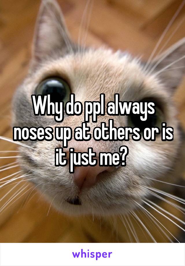 Why do ppl always noses up at others or is it just me? 