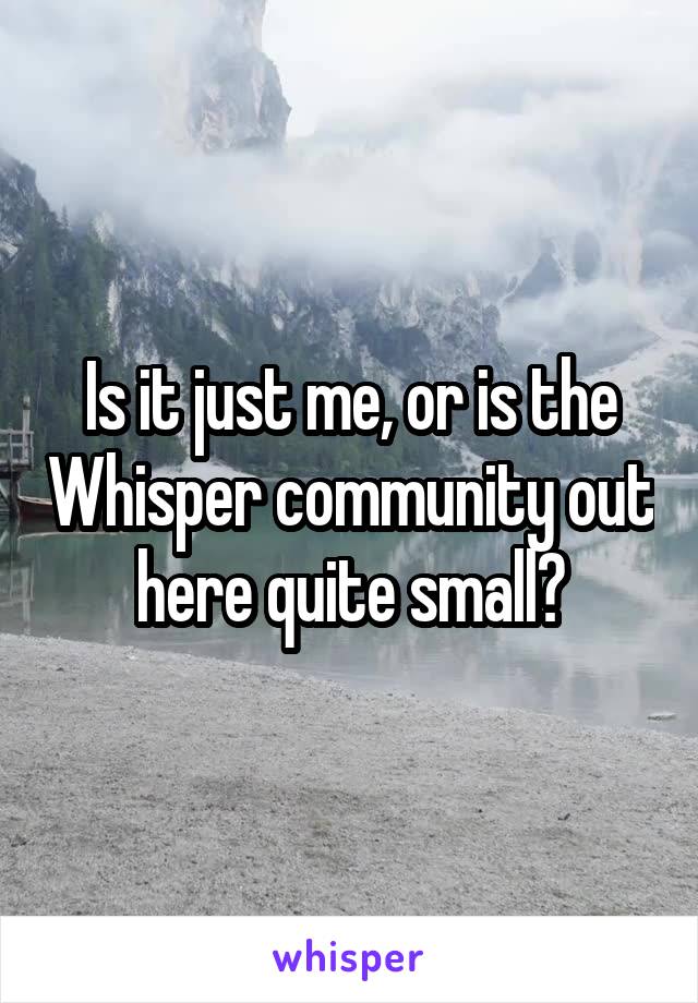 Is it just me, or is the Whisper community out here quite small?