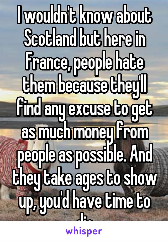 I wouldn't know about Scotland but here in France, people hate them because they'll find any excuse to get as much money from people as possible. And they take ages to show up, you'd have time to die