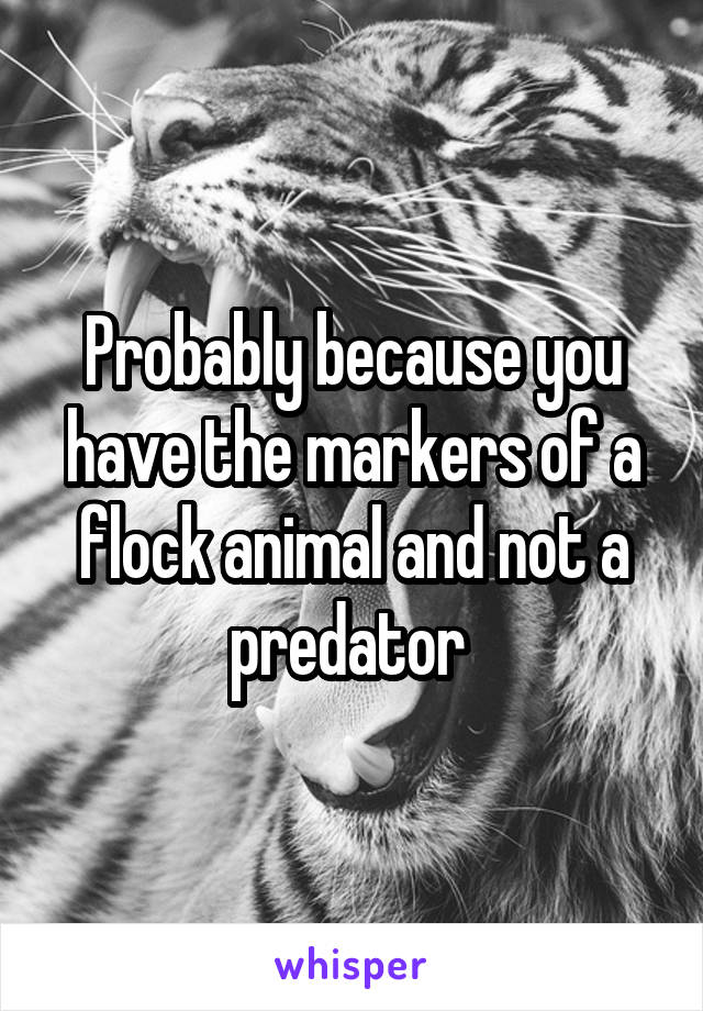 Probably because you have the markers of a flock animal and not a predator 