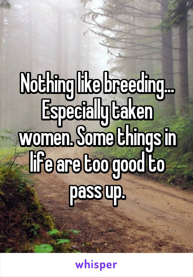 Nothing like breeding... Especially taken women. Some things in life are too good to pass up.