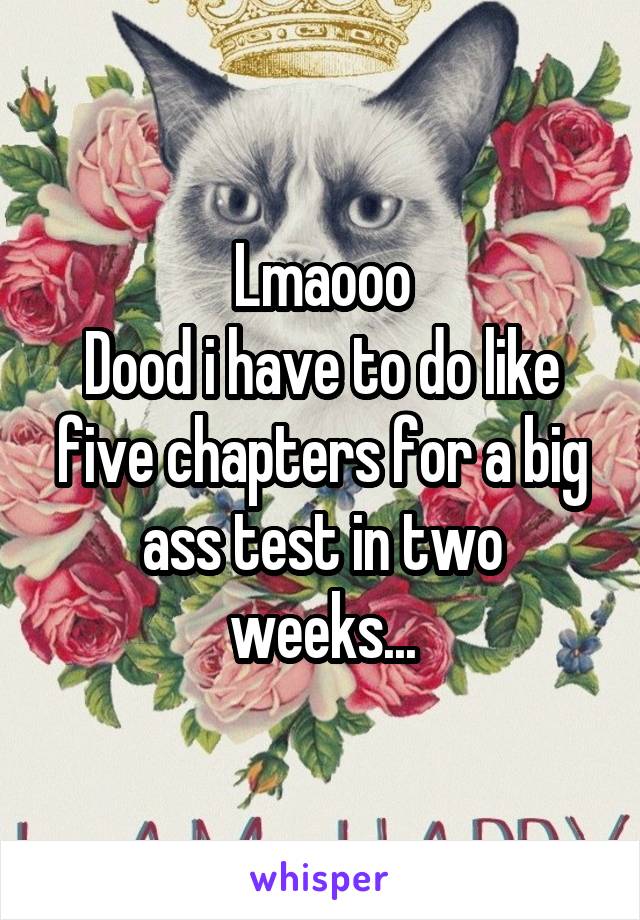 Lmaooo
Dood i have to do like five chapters for a big ass test in two weeks...