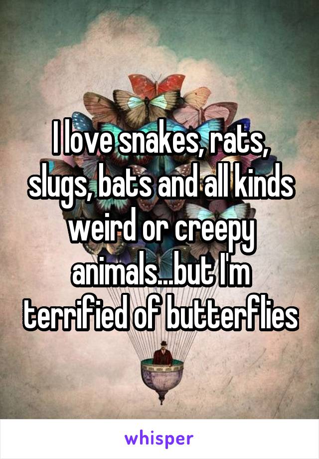 I love snakes, rats, slugs, bats and all kinds weird or creepy animals...but I'm terrified of butterflies