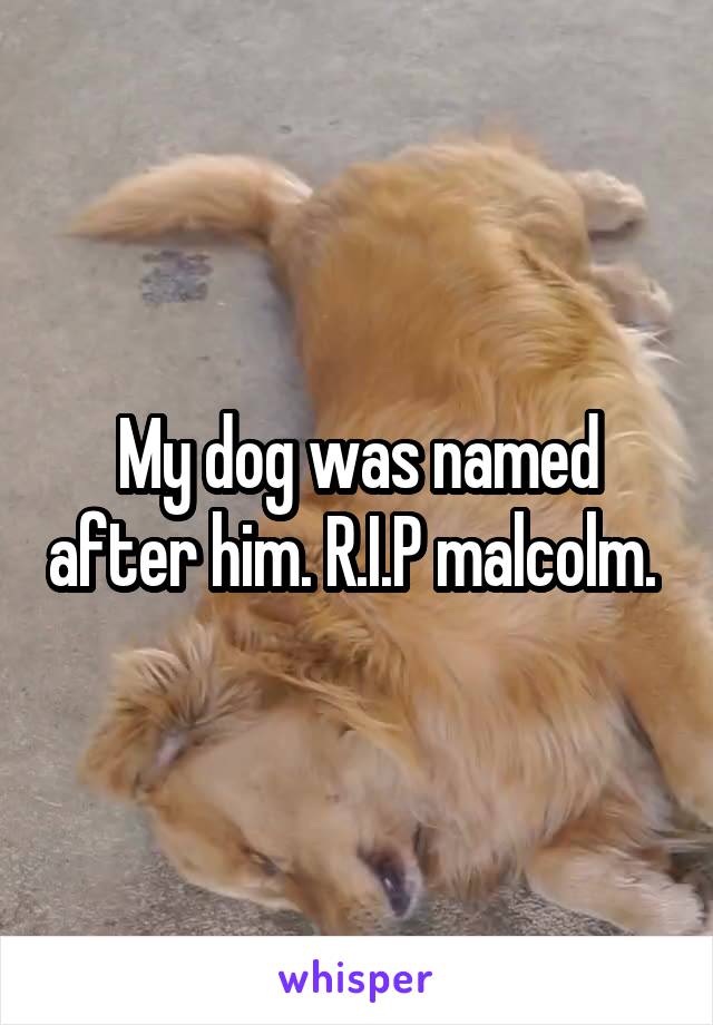 My dog was named after him. R.I.P malcolm. 
