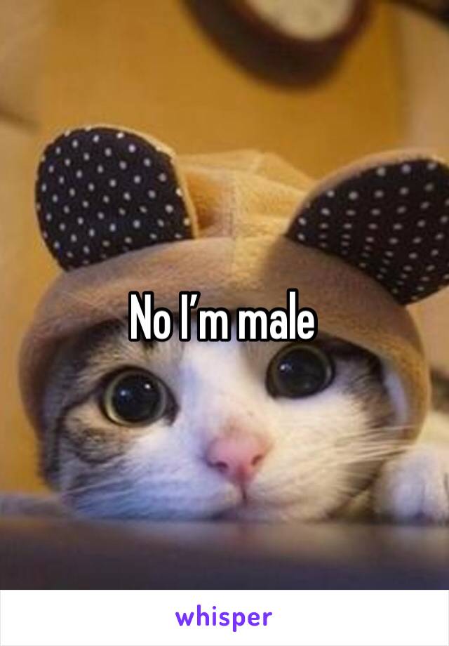No I’m male